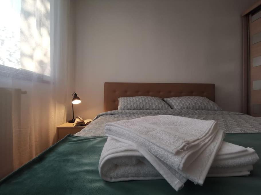 Apartament Gulliver In Centrul Vechi Iasi Exterior foto